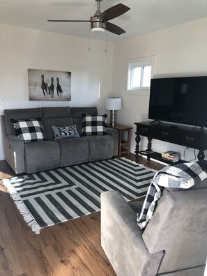 Smart TV, fireplace, books