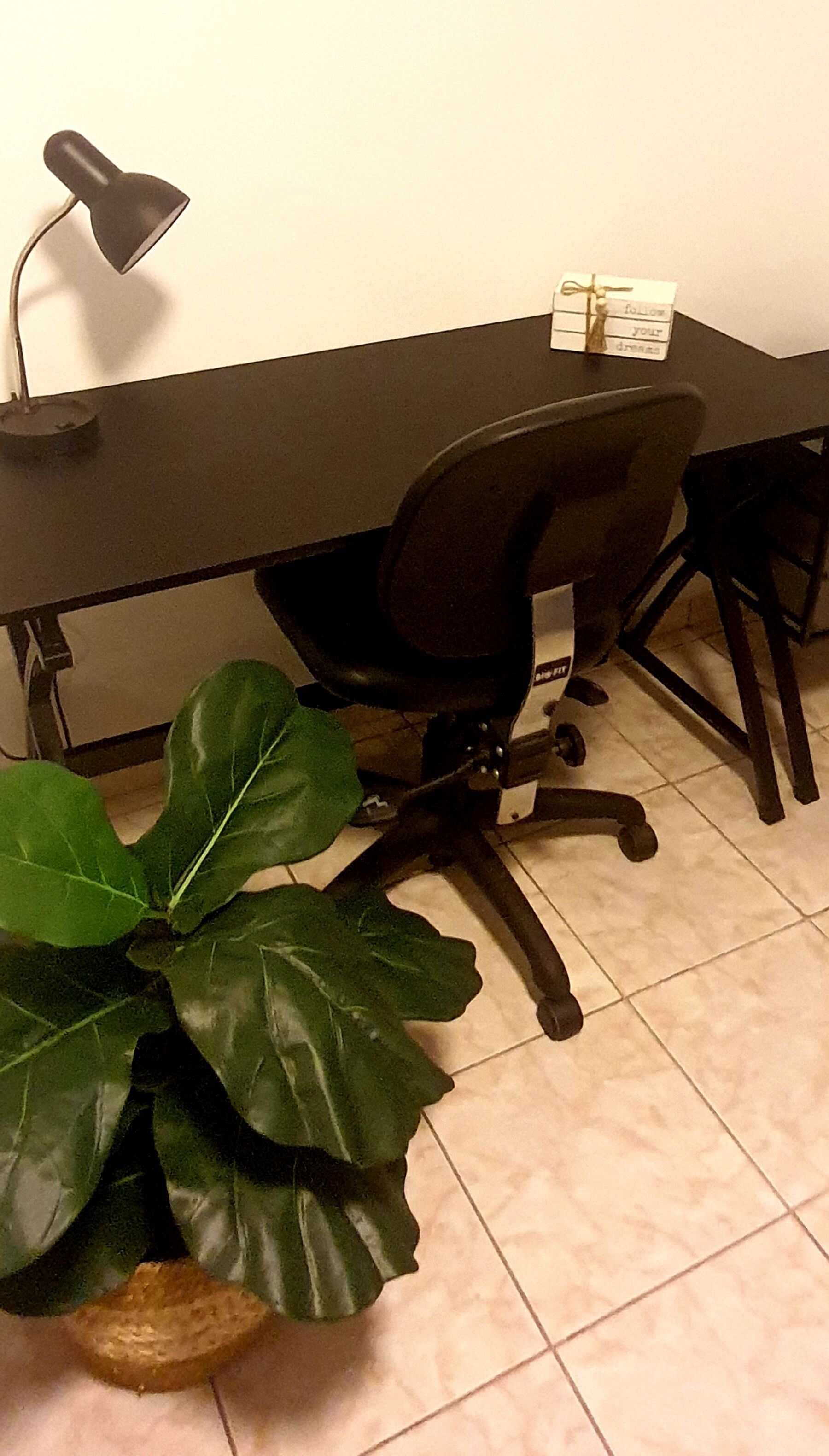 Una sala de conferencias con un escritorio, una silla de oficina y una planta en maceta.