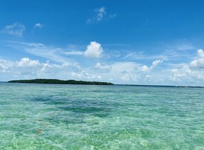 Beach towels - Stary Net - Ocean Waterfront 3BR 3BA Home  (Key Largo)