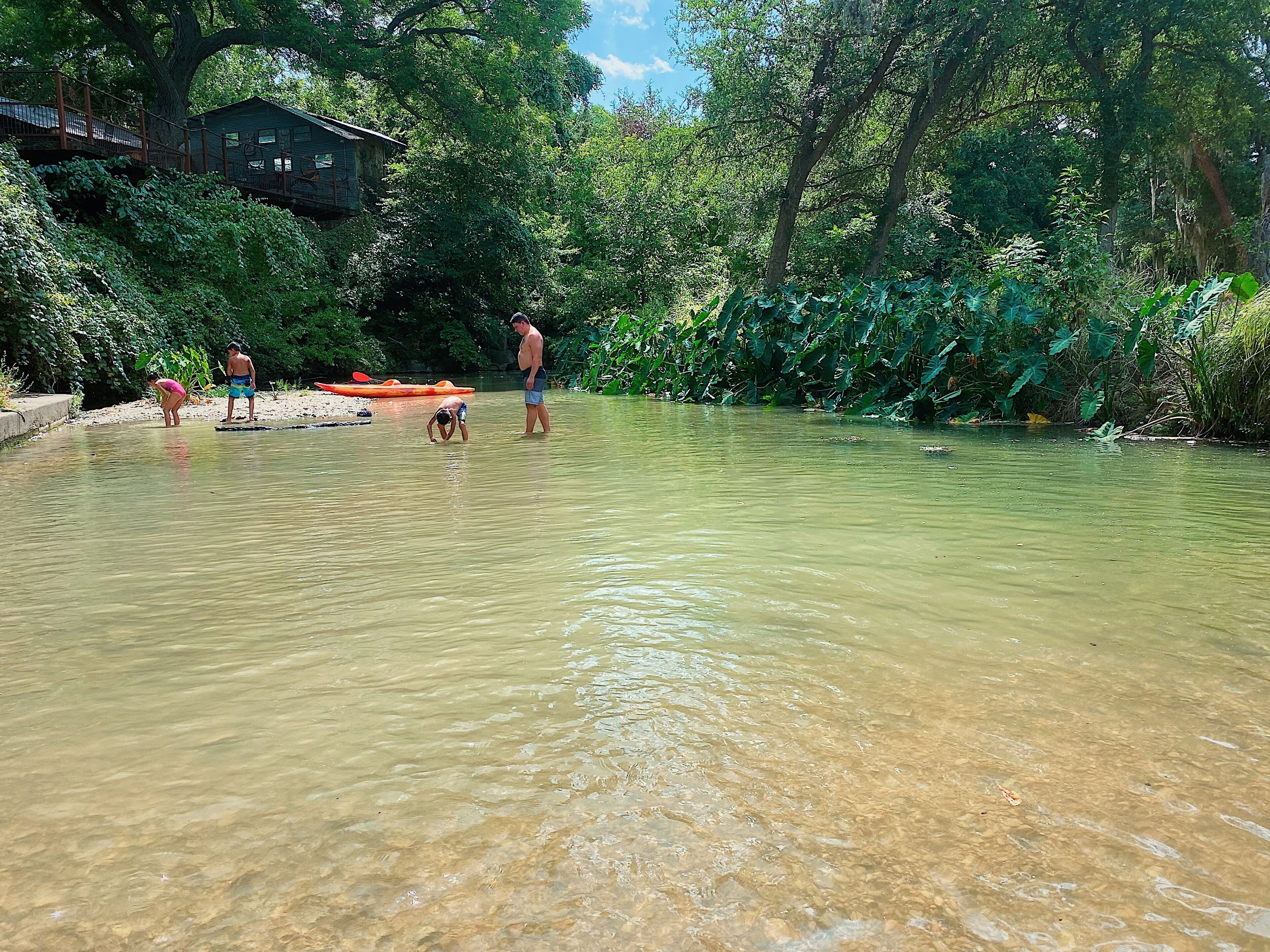 A river with clear water, surrounded by lush greenery and a wooden bridge.