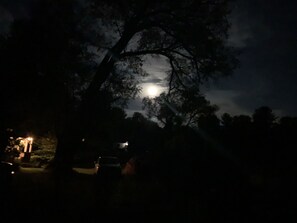 Stroll through a serene residential area under the light of a full moon.