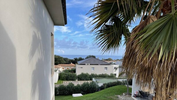 A view of a residential area with a white building, a grassy lawn, and a palm tree. - Cosy apartment rental (SANTA LUCIA DI MORIANI)