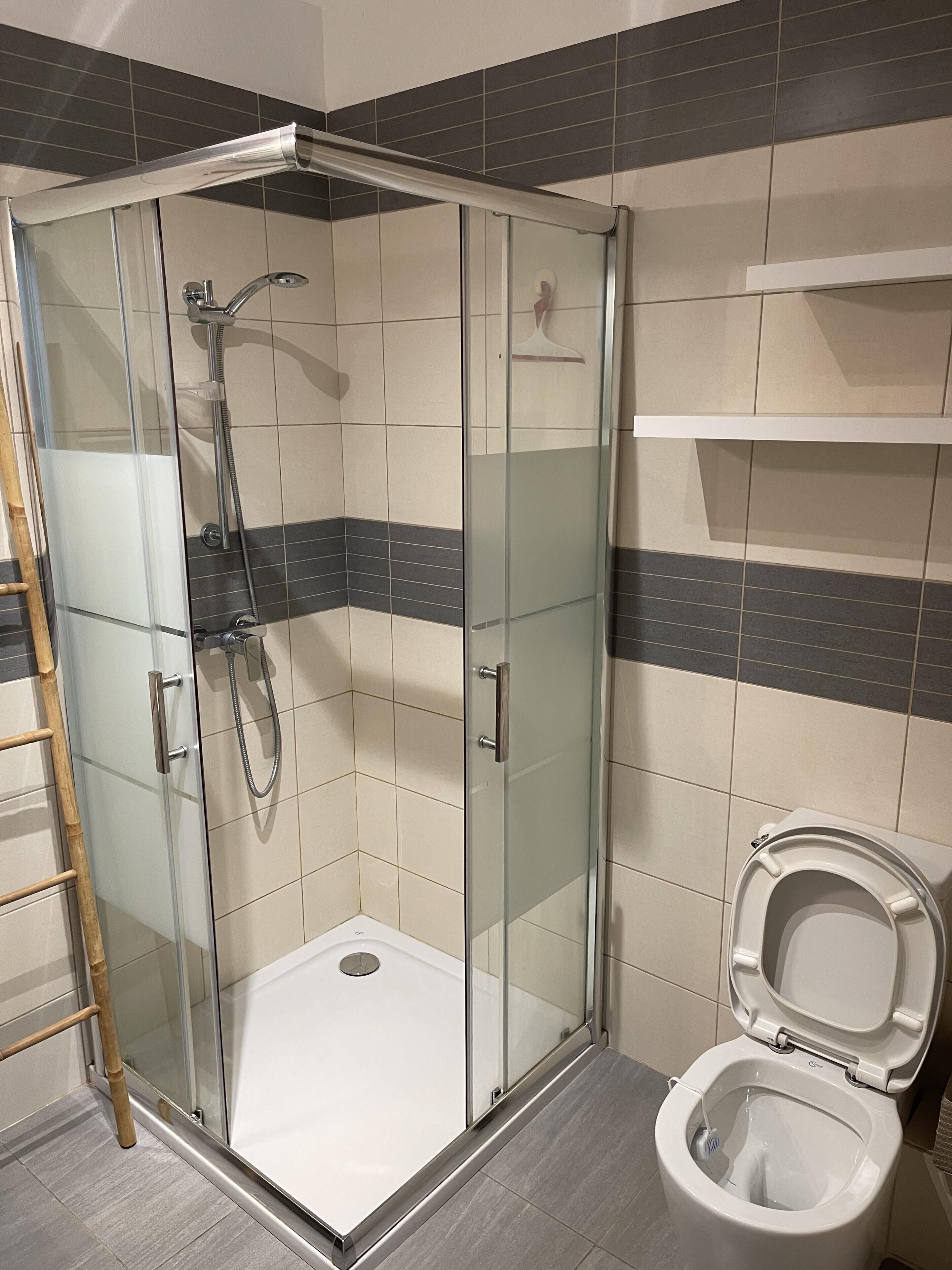 Et moderne badeværelse med en glasafskærmet brusekabine, et toilet og en bambusstige.