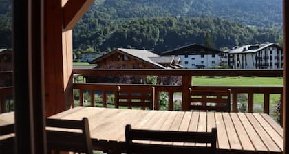 Spacious apartment in a chalet in Samoens