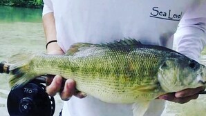 A person holding a fish with a fishing reel. - Son's Blue River Camp - Glamping Cabin #1 (Kingsbury)