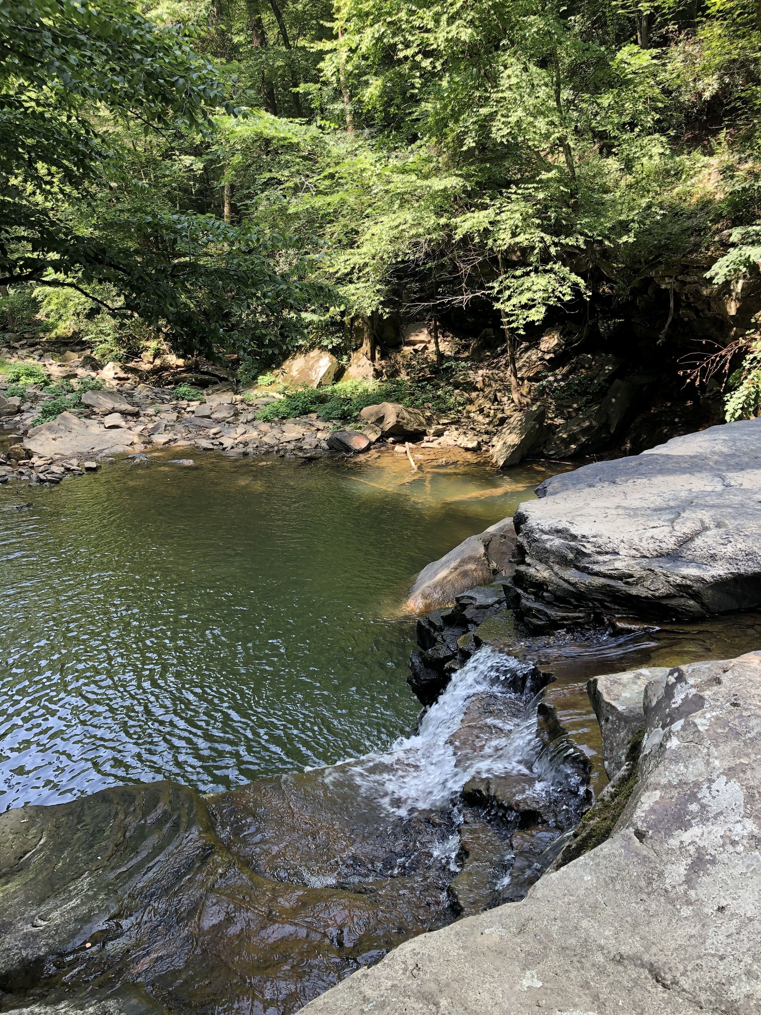 A natural water feature with rocks and greenery.