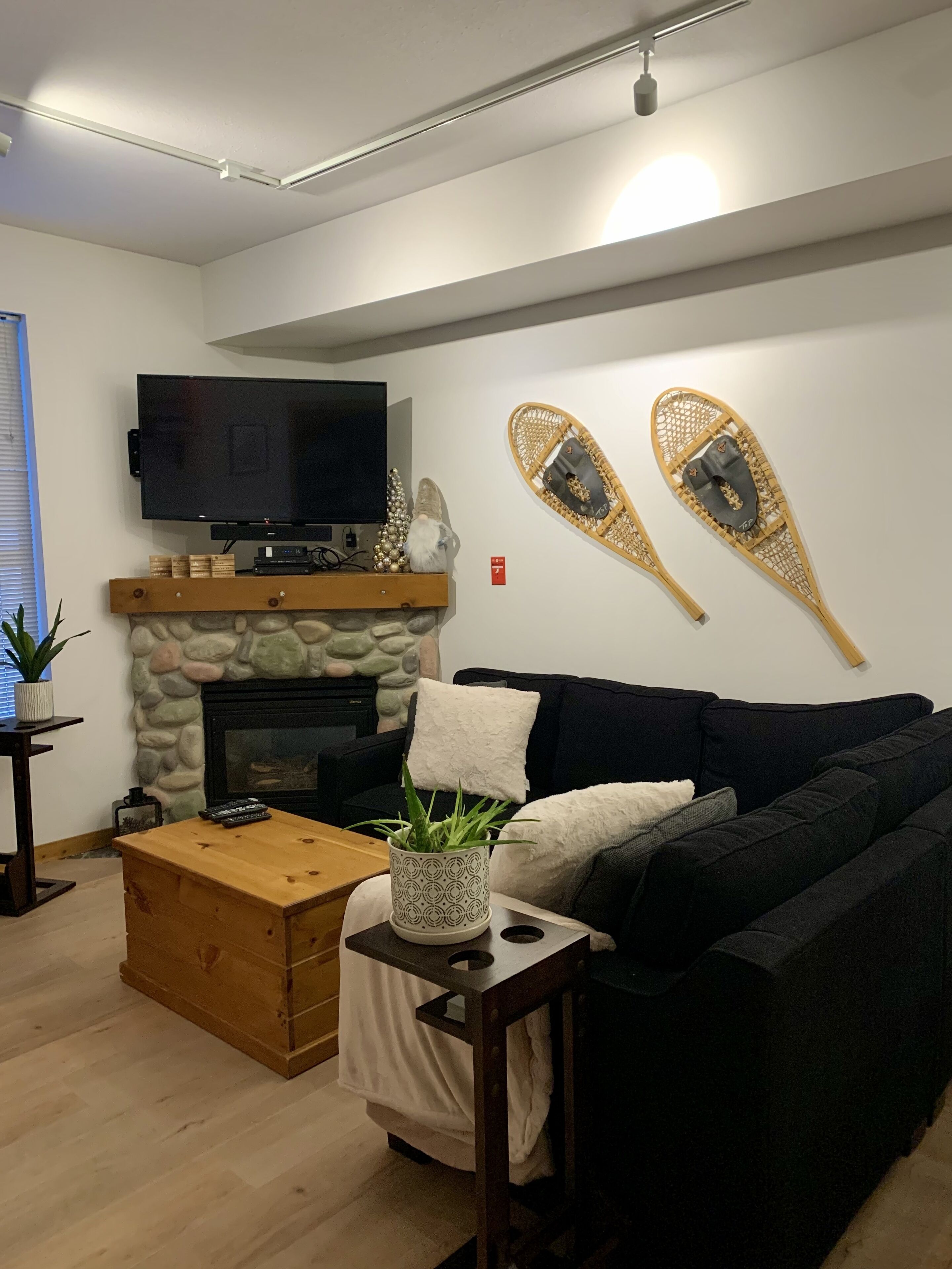 TV, fireplace, books