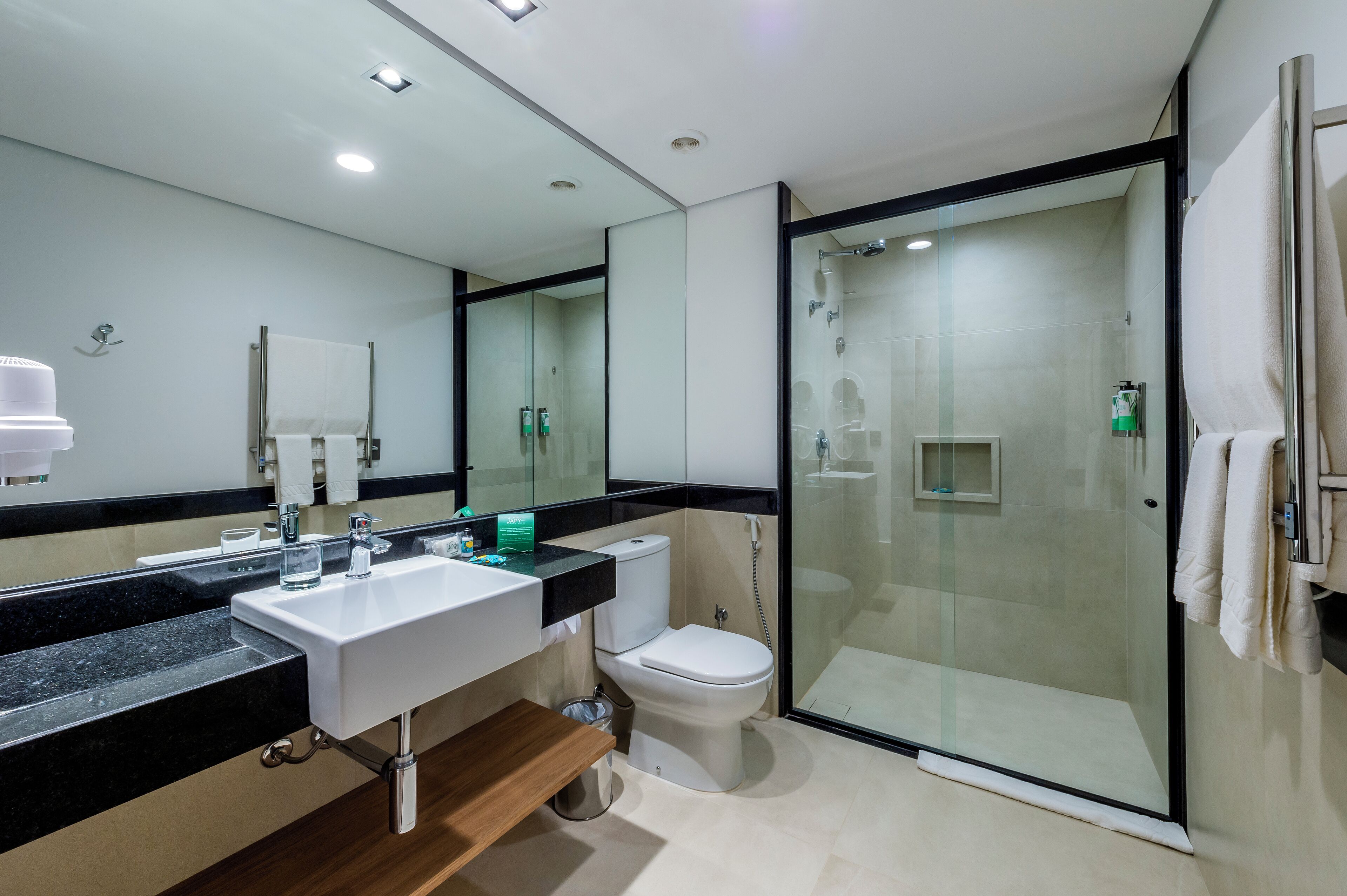 A modern bathroom with a glass-enclosed shower, a white sink, and a toilet.