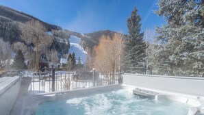 Un jacuzzi con vista a una montaña nevada y árboles.