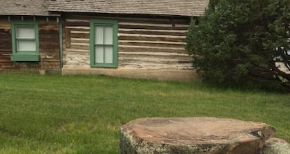 The Governor Meagher Cabin in Virginia City
