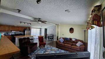 TV connectée, cheminée, lecteur de DVD