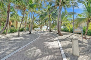 المنطقة المحيطة بالمنشأة