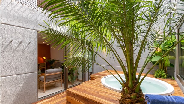 Ein Wellnessbereich mit einer Holzbank, einem Whirlpool und einer großen Pflanze.