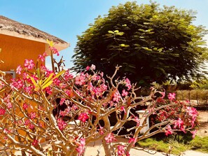 Property grounds - Villa Choucador (Thiès)