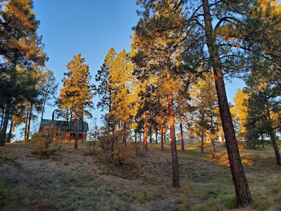 40-Acre Mountain Retreat King Bed- Epic Views 12 Min to Durango