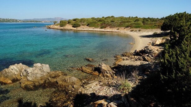 A coastal landscape with clear water, rocky shoreline, and sparse vegetation. - Holiday home Two room apartment with air conditioning (Porto Rotondo)