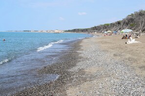 Ranta