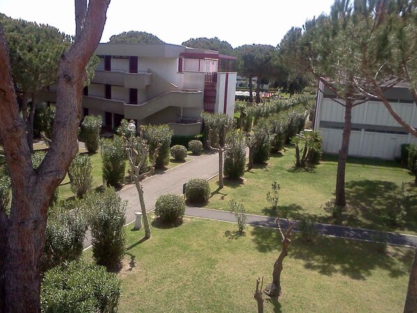 Property grounds - Holiday apartment with two rooms for 4 persons (Marina di Bibbona)