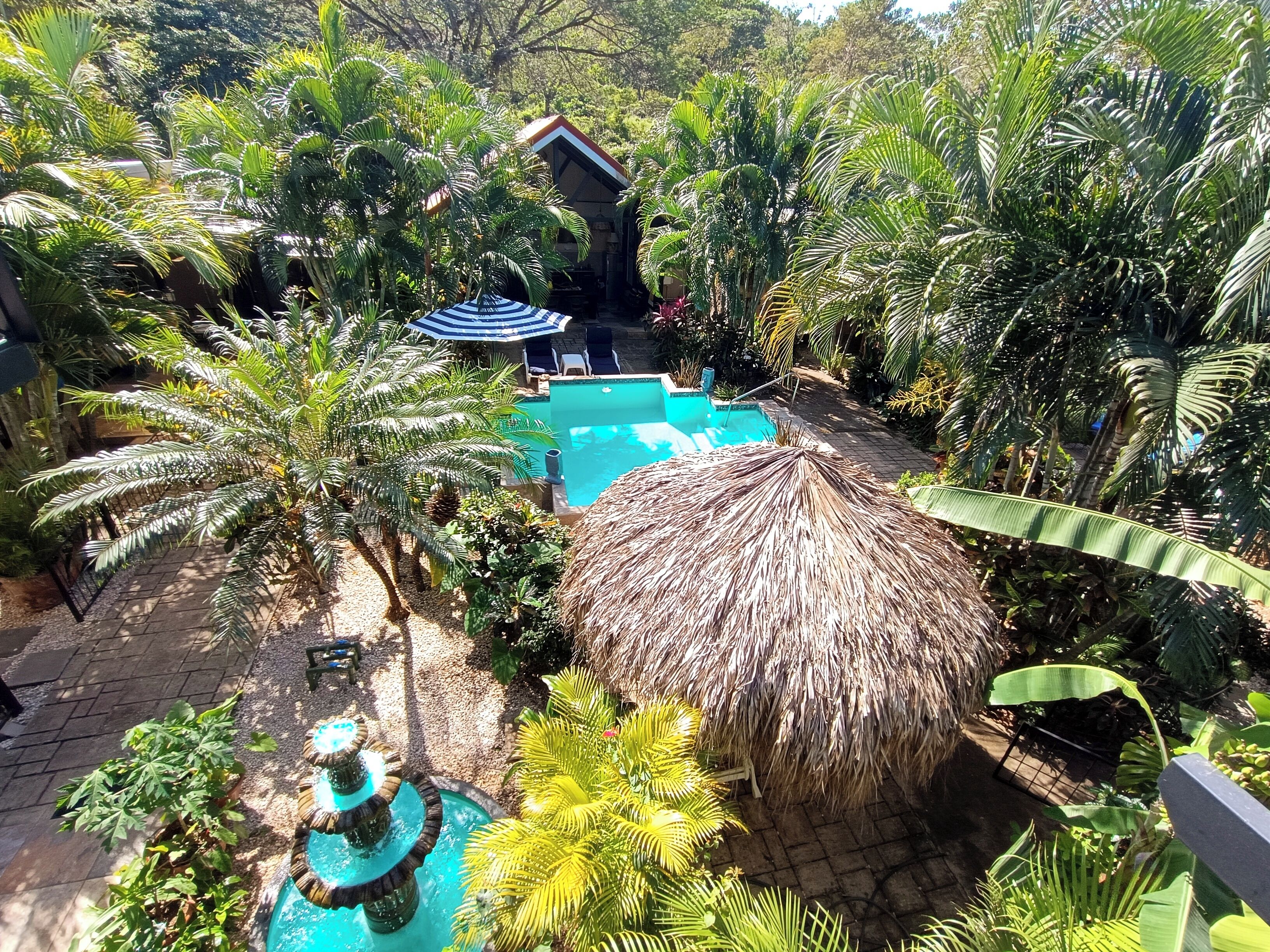 Un giardino tropicale con piscina, palme e una struttura con tetto di paglia.