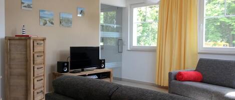 تلفزيون، مشغل دي في دي، ستيريو