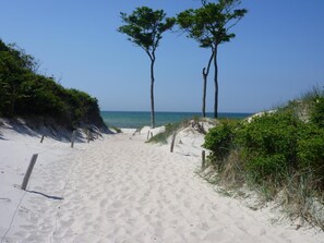 A sandy beach path leading to the ocean, flanked by trees and vegetation.
