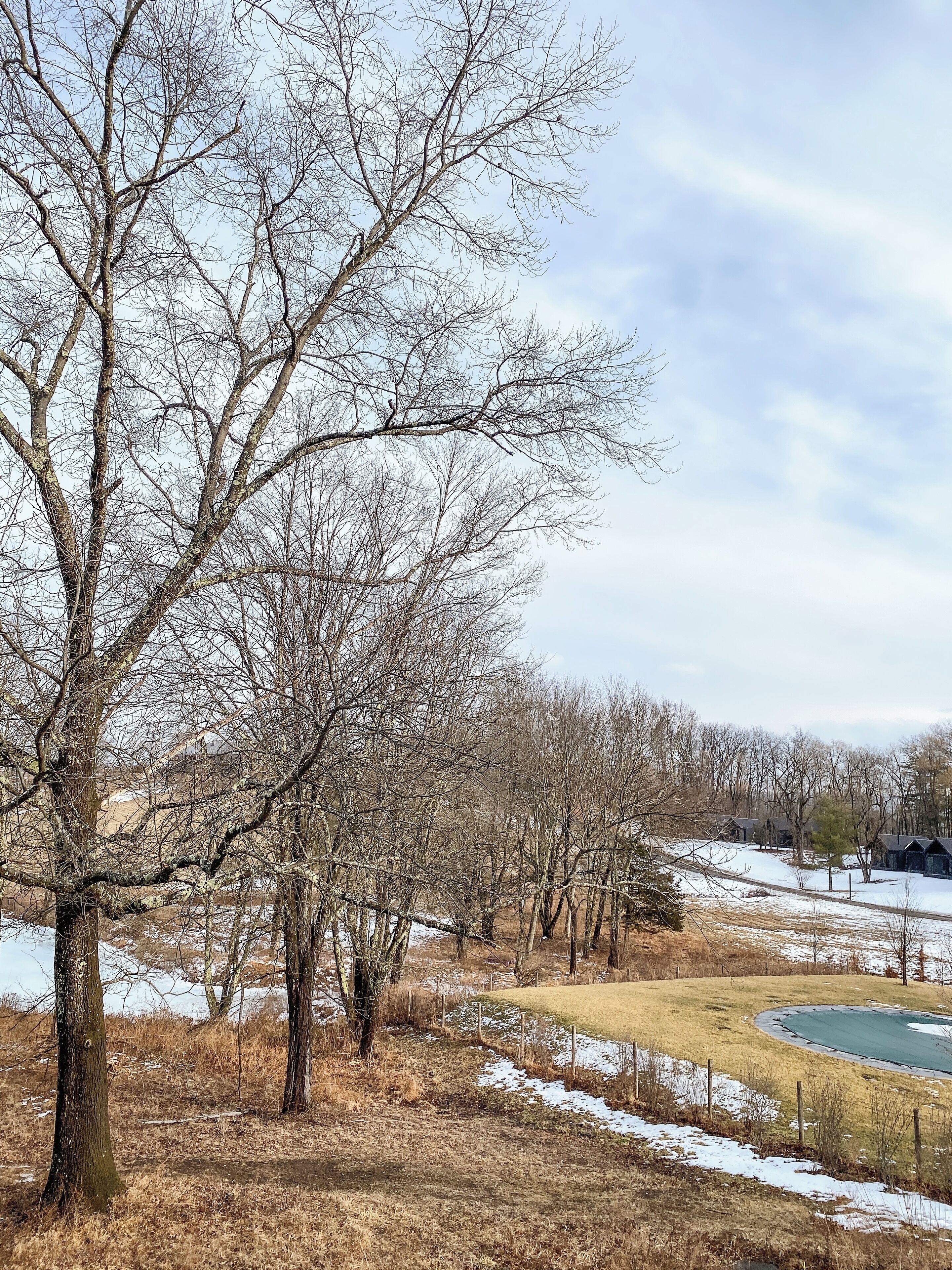 A landscape with leafless trees and a snow-covered ground.