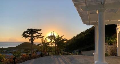 LenDeens an Affordable Hillside1BD/1BTH Apartment w/ AC and Gorgeous Oceanviews