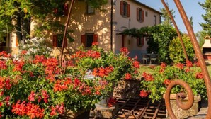 A rustic building with a garden in front, featuring red flowers and a metal structure. - Apartment Mimosa by Interhome (Peccioli)