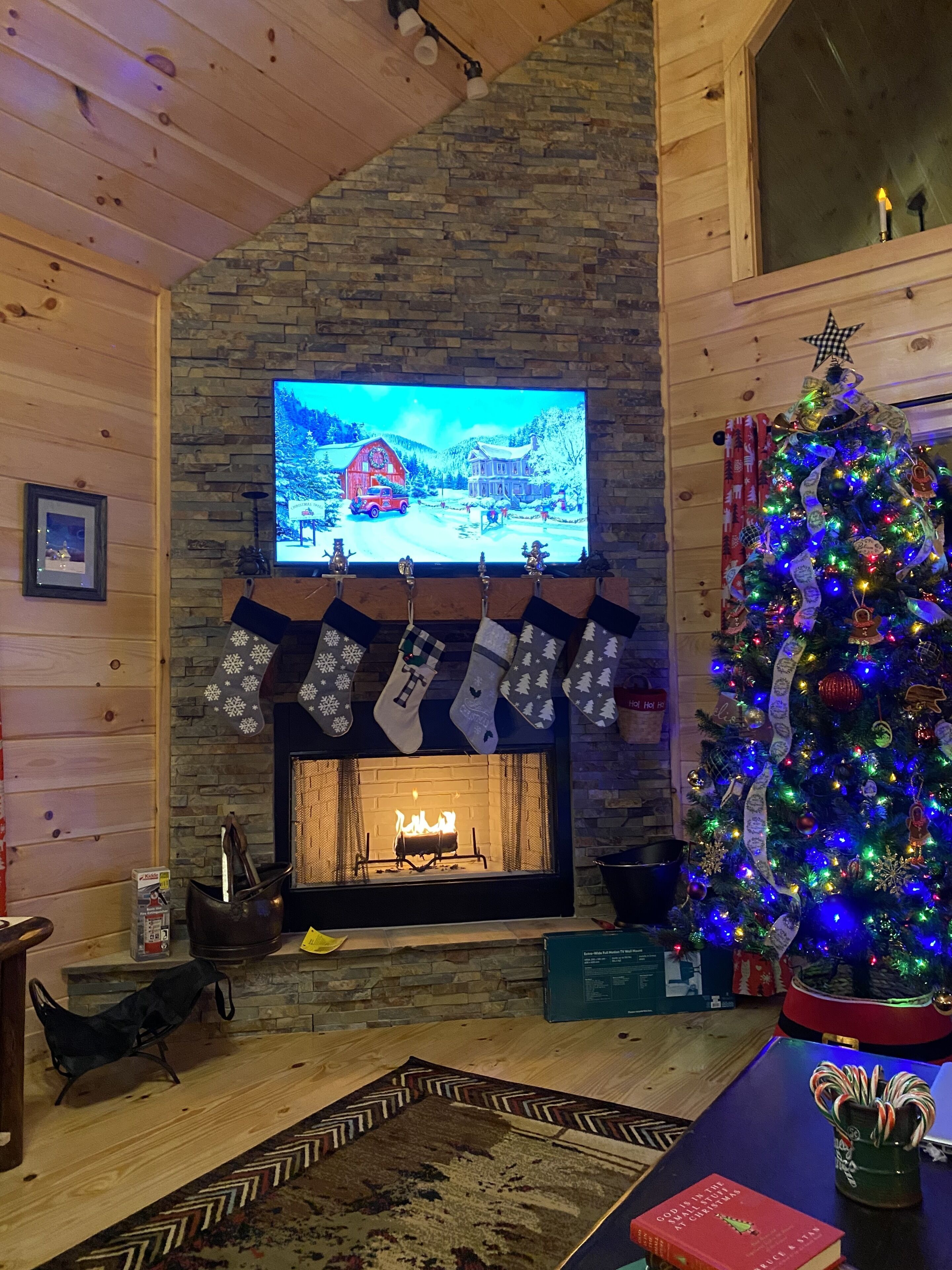 Living room with vaulted ceilings , mtn views & creek . Wood burning Fire Place