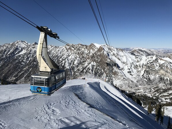 雪地及滑雪運動