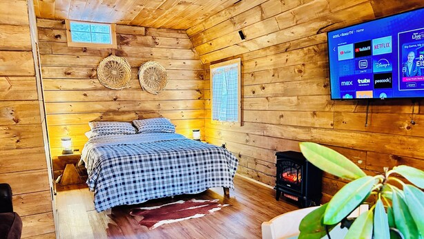 A cozy cabin-style room with a bed, a television mounted on the wall, a small fireplace, and a potted plant. - Wood Cabin in the Smoky Mountains (Sevierville)