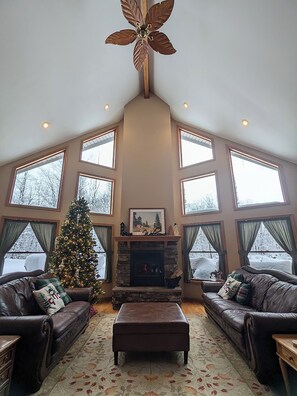 Téléviseur connecté, foyer, livres