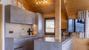 A modern kitchen with grey cabinetry, a built-in stove, and a large window. - Chalet with panoramic sauna (Schladming - Pichl, Ennstal)