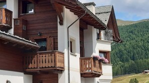 Exterior detail - Holiday Apartment "Arcobaleno Bianco" with Mountain View, Wi-Fi & Garden (Livigno)