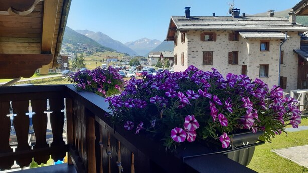 Un balcó amb flors morades, una vista d'una muntanya i un edifici amb façana de pedra.