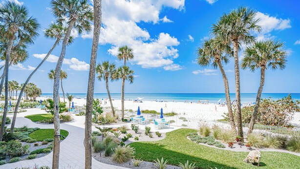 Un resort en la playa con palmeras, un camino y sillas de playa.