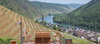 New vacation apartment in the old winegrower's house - vacation at the winery