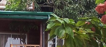Hut in the old Mangoo tree . Breakfast incl