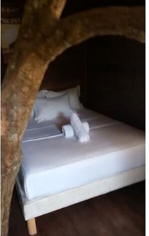 2 chambres, Wi-Fi
