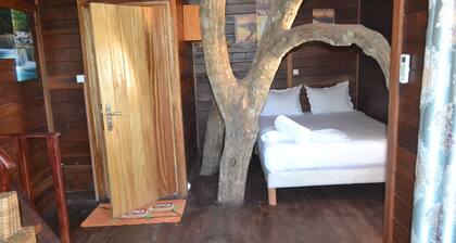 Hut in the old Mangoo tree . Breakfast incl