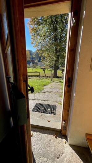 Interior - Idyllic torrent in the heart of the Ore Mountains (Lichtenberg/Erzgebirge)