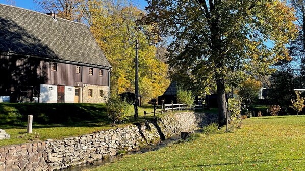 Exterior - Idyllic torrent in the heart of the Ore Mountains (Lichtenberg/Erzgebirge)