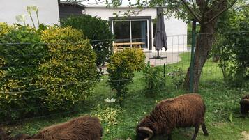 Enceinte de lâhĂ©bergement