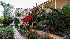 A garden pathway leading to a building with a stone wall and a wire fence. - Eucalyptus Pension (Kas)