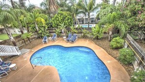 Ein Garten mit Swimmingpool, umgeben von Palmen und verschiedenen Pflanzen.
