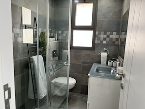 Shower, hair dryer, towels