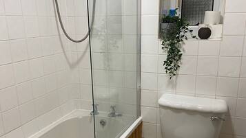Combined shower/tub, hair dryer, towels, soap
