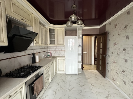 Apartamento clásico | Cocina privada | Frigorífico grande, microondas, horno y placa de cocina. PaulMarie Apartment on Podgorodskaya