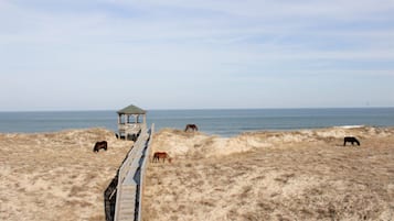 En la playa, camastros y toallas de playa