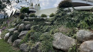 Un edificio moderno con facciata in pietra, grandi rocce e vegetazione.